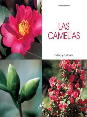cover image of Las camelias--Cultivo y cuidados